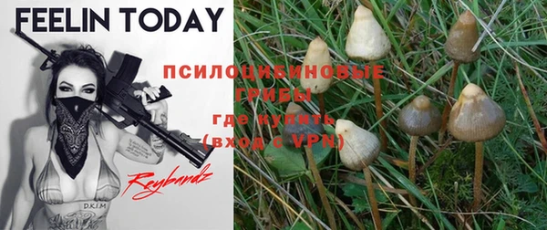 MDMA Premium VHQ Аркадак