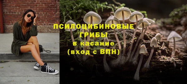 мет Арсеньев