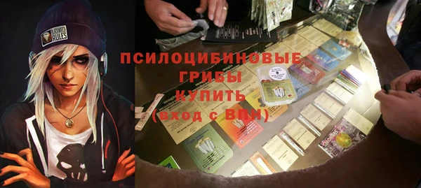 мет Арсеньев