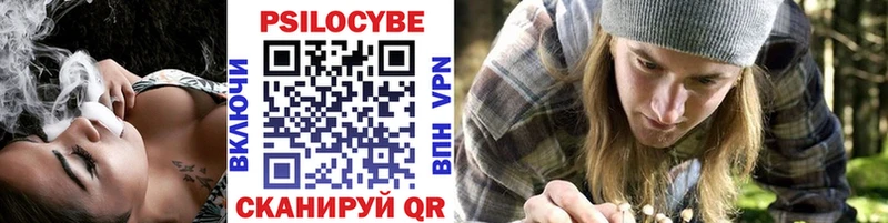 Псилоцибиновые грибы Psilocybe  ссылка на мегу онион  Фатеж  что такое  
